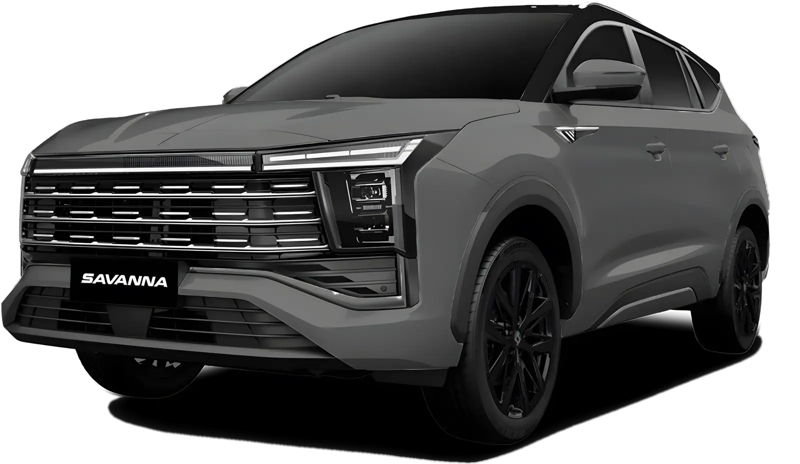 JAC Savanna color gris